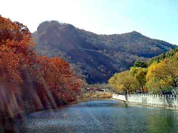 澳门天天开奖免费资料，本地山羊养殖技术